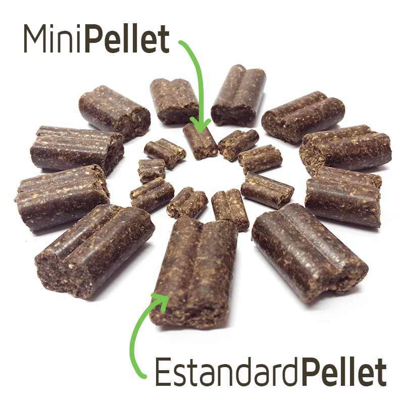 ACTICELL MARKUS-MÜHLE