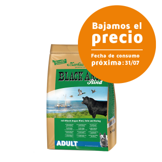 Black Angus Adult | Outlet
