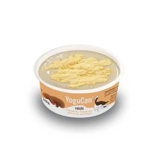 Iogurte com Cogumelo Reishi + Topping