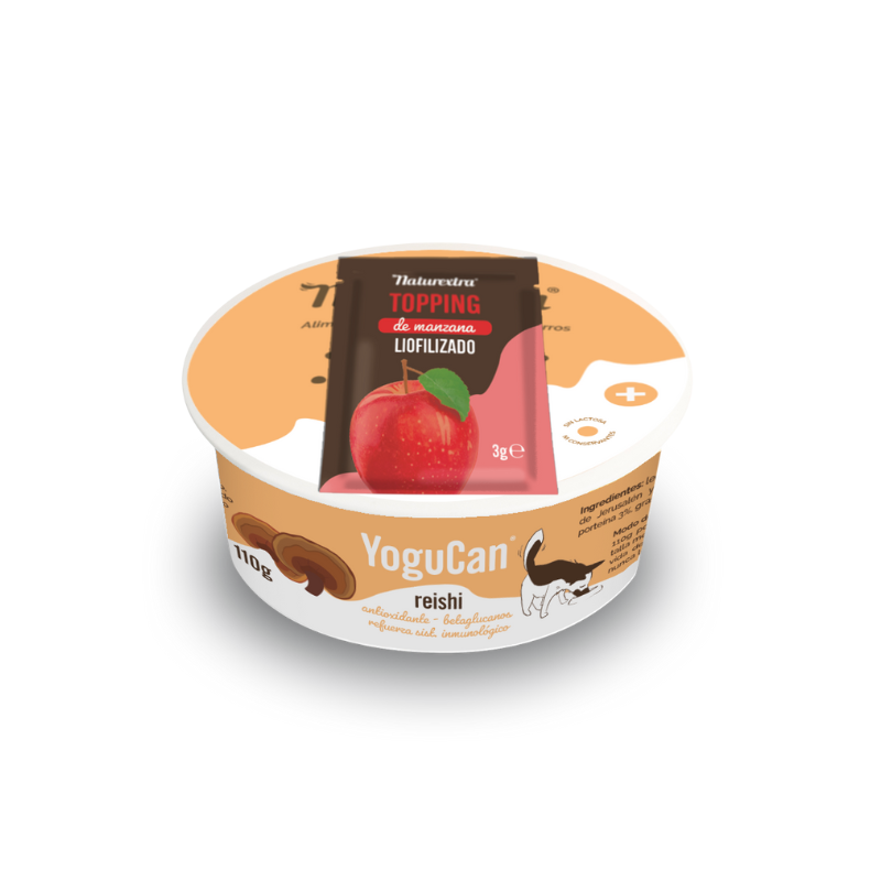 Iogurte com Cogumelo Reishi + Topping