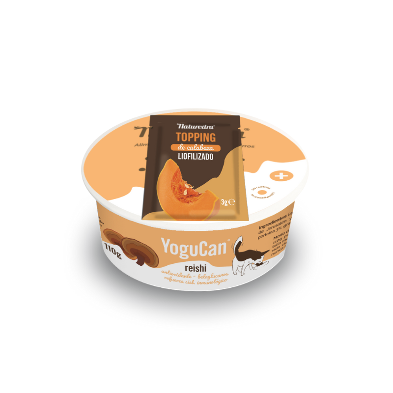 Iogurte com Cogumelo Reishi + Topping