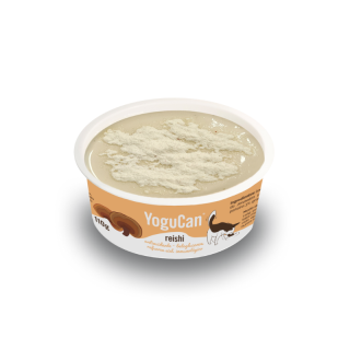 Iogurte com Cogumelo Reishi + Topping