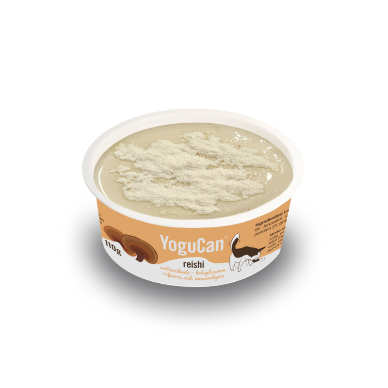 Iogurte com Cogumelo Reishi + Topping