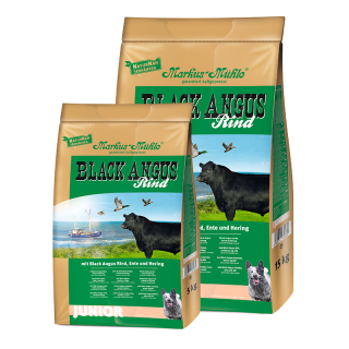 BLACK ANGUS JUNIOR