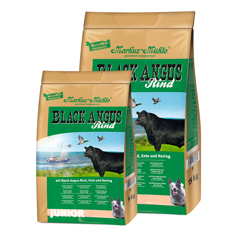 BLACK ANGUS JUNIOR