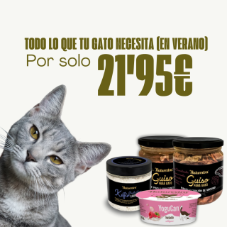 Pack Verano Para Gatos