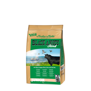 BLACK ANGUS JUNIOR