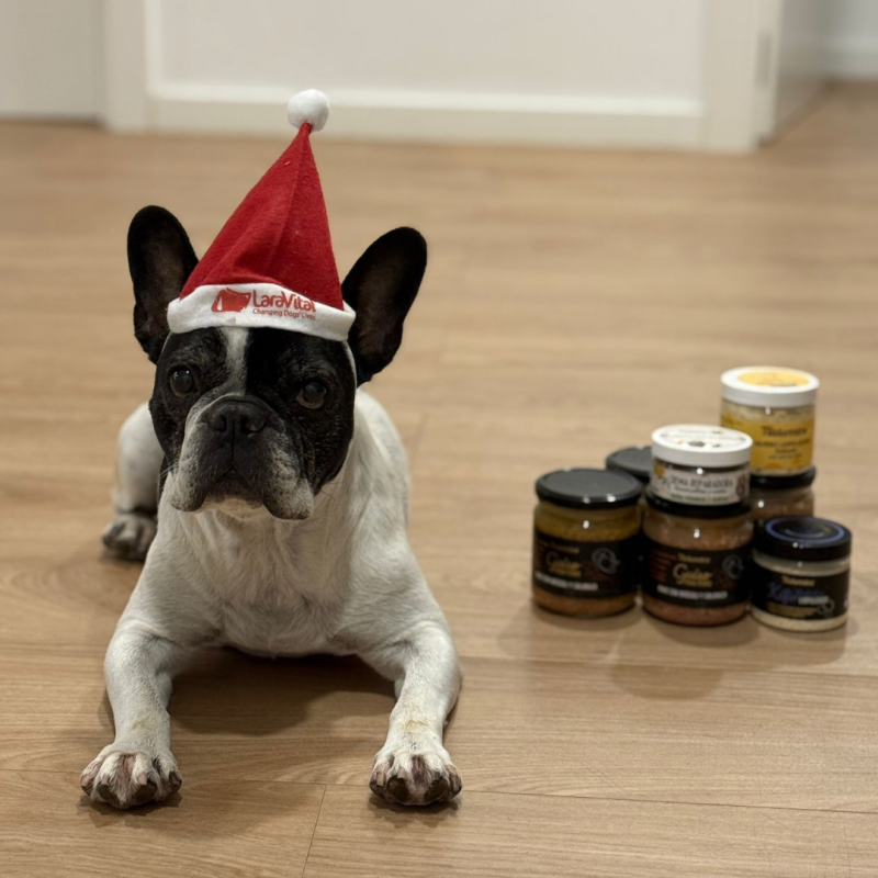 ¡Gorrito de Navidad para perros y gatos!