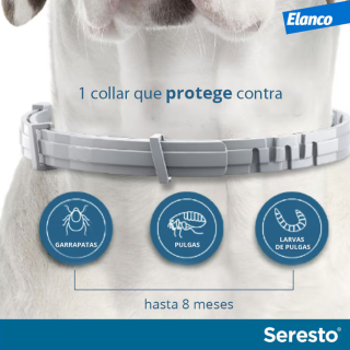 Coleira Seresto antiparásitos para cães más de 8 kg