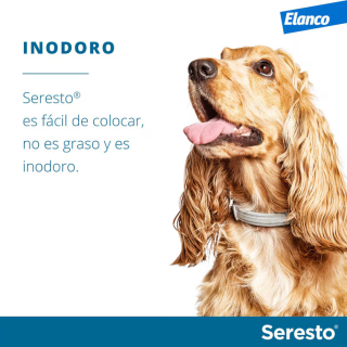 Collar Seresto antiparásitos para perros más de 8 kg