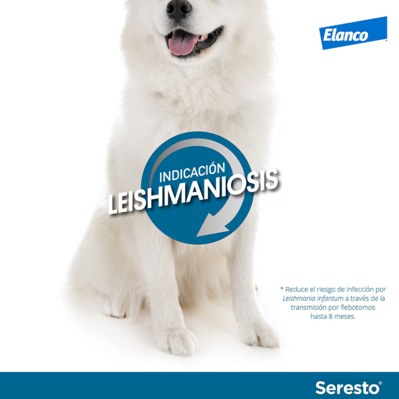 Coleira Seresto antiparásitos para cães más de 8 kg