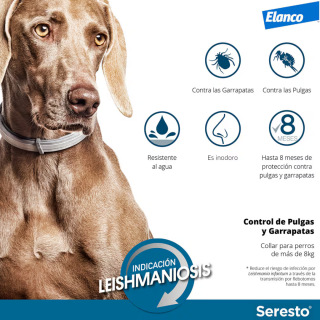 Collar Seresto antiparásitos para perros menos de 8 kg