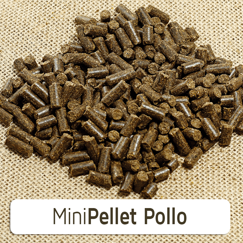 Naturextra Frango Mini Pellet