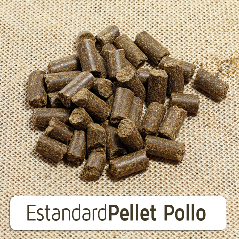 NATURAL-EXTRA POLLO