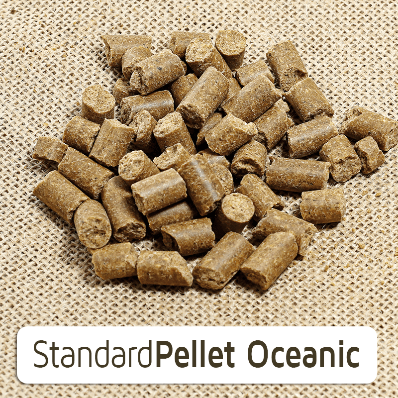 Naturextra Oceanic com peixe