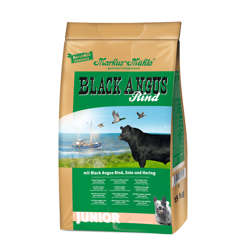 BLACK ANGUS JUNIOR