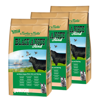 BLACK ANGUS JUNIOR