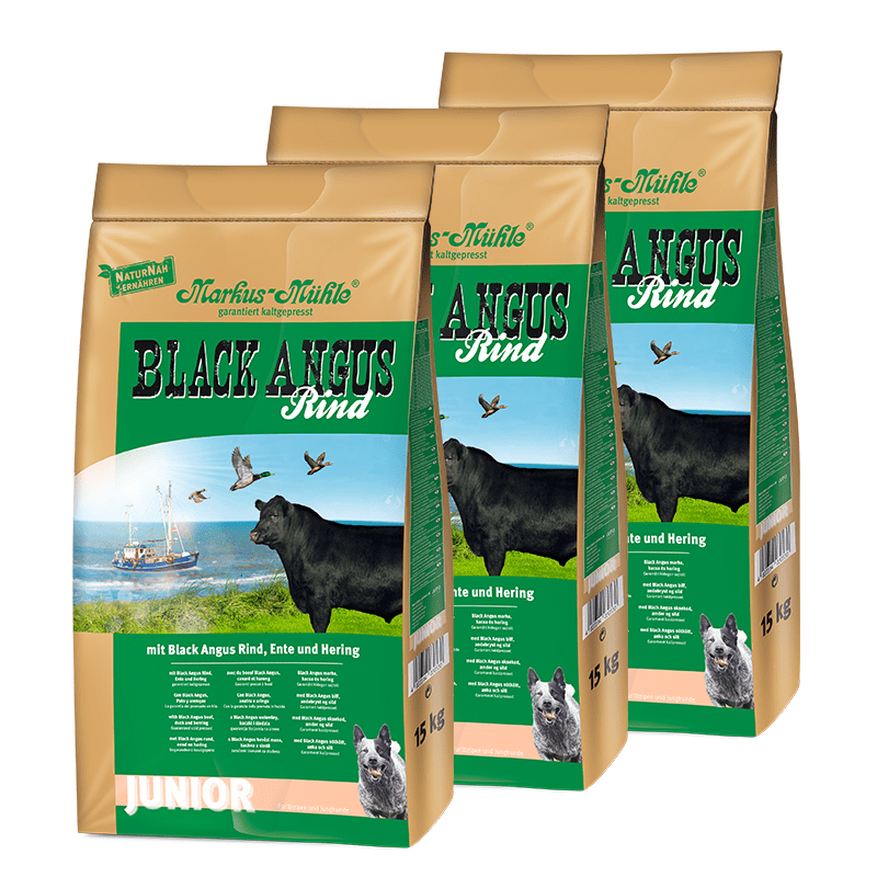BLACK ANGUS JUNIOR