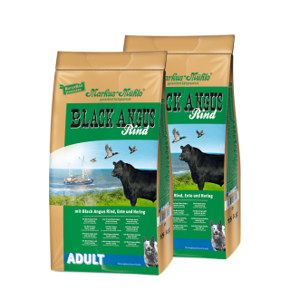 BLACK ANGUS ADULTO