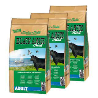 BLACK ANGUS ADULTO