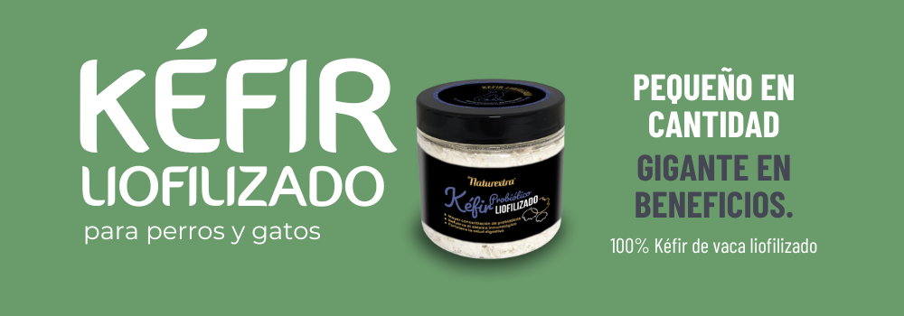 Kefir para perros y gatos