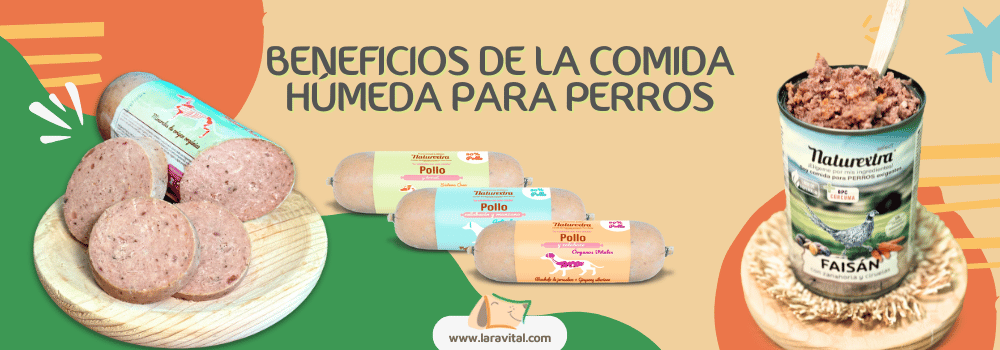 Beneficios Comida humeda