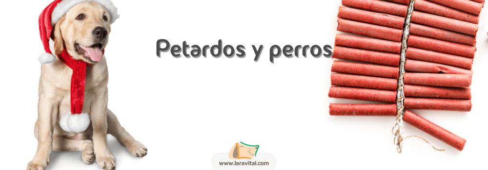 Petardos y perros