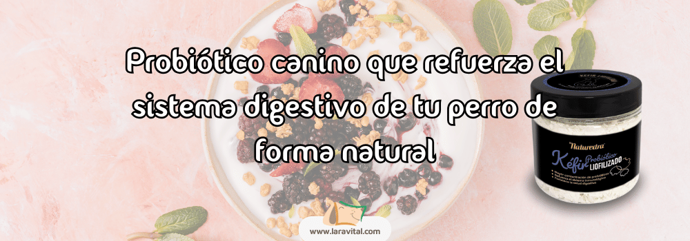 Probiótico Canino
