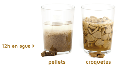 Difference Between Pellets and Classic Extruded Kibble