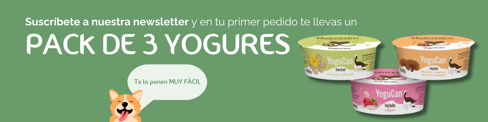 Regalo Pack Yogures Newsletter