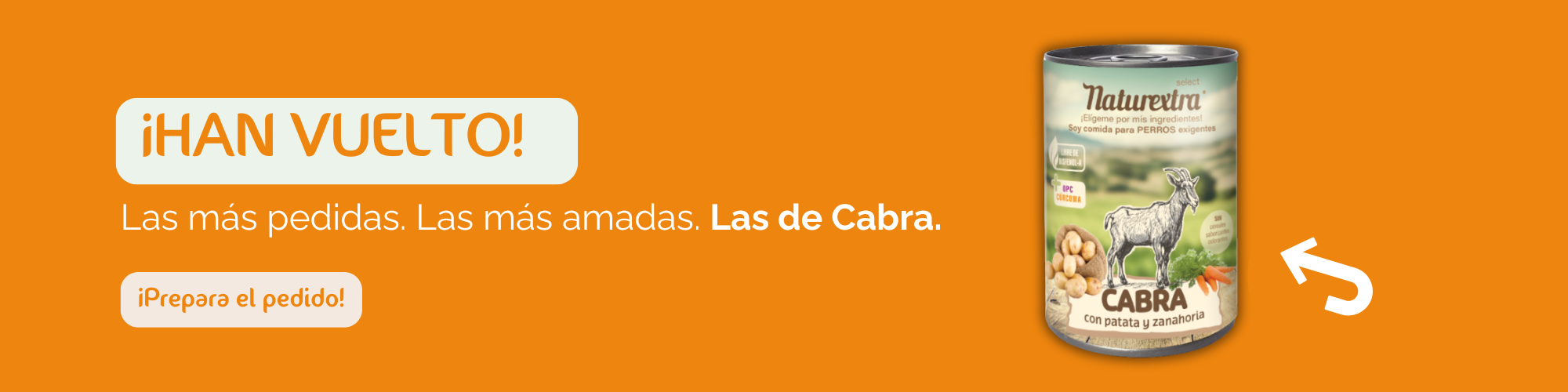 ¡HAN VUELTO! 